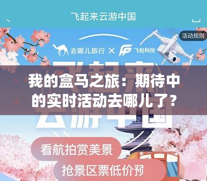 我的盒马之旅：期待中的实时活动去哪儿了？