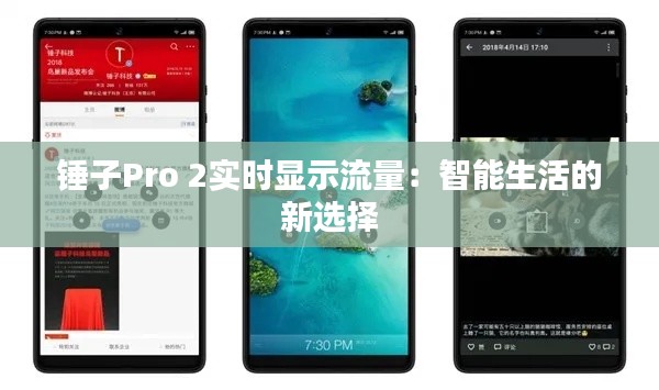 锤子Pro 2实时显示流量：智能生活的新选择