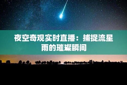 夜空奇观实时直播：捕捉流星雨的璀璨瞬间