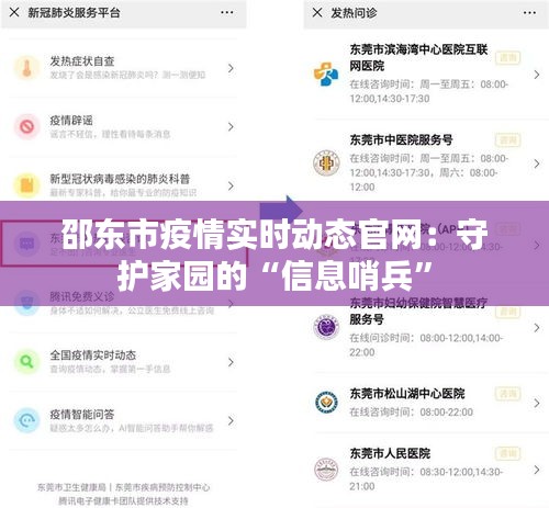 邵东市疫情实时动态官网：守护家园的“信息哨兵”