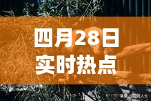 四月28日实时热点：聚焦时事动态，洞察社会脉动