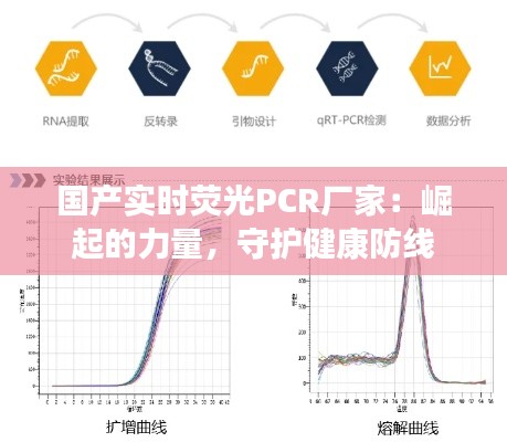 国产实时荧光PCR厂家：崛起的力量，守护健康防线