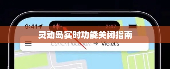 灵动岛实时功能关闭指南