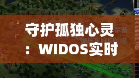 守护孤独心灵：WIDOS实时保护系统如何守护寡妇们的安全