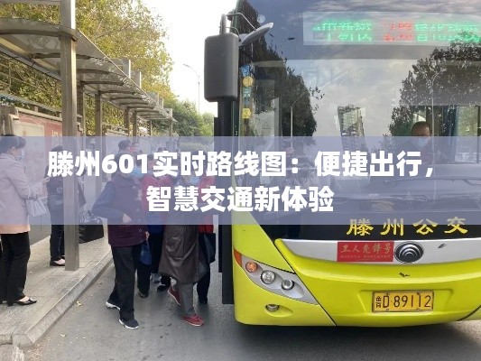 滕州601实时路线图：便捷出行，智慧交通新体验