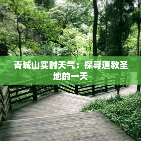 青城山实时天气：探寻道教圣地的一天