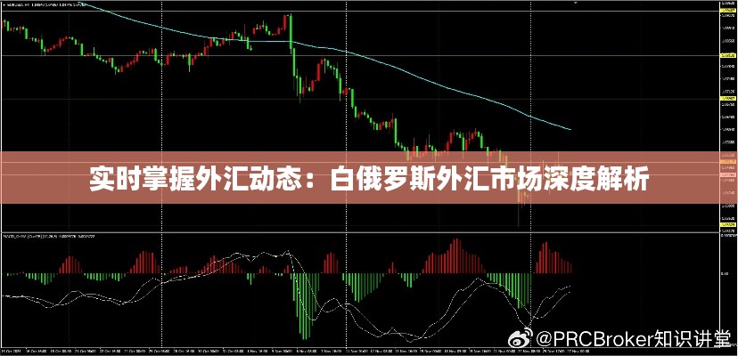 实时掌握外汇动态：白俄罗斯外汇市场深度解析