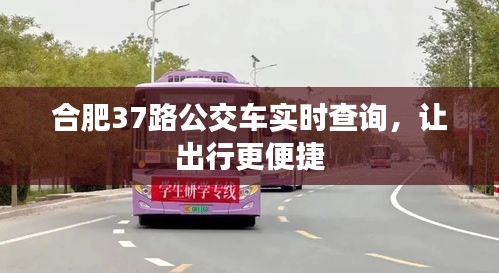 合肥37路公交车实时查询，让出行更便捷