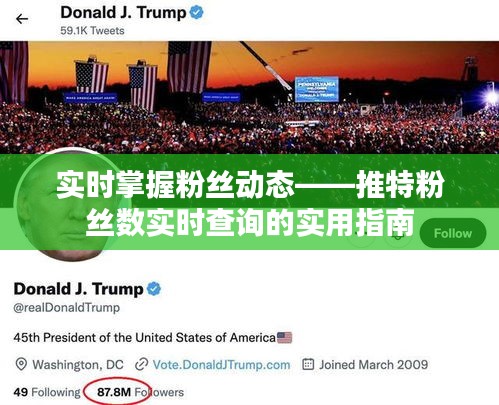 实时掌握粉丝动态——推特粉丝数实时查询的实用指南