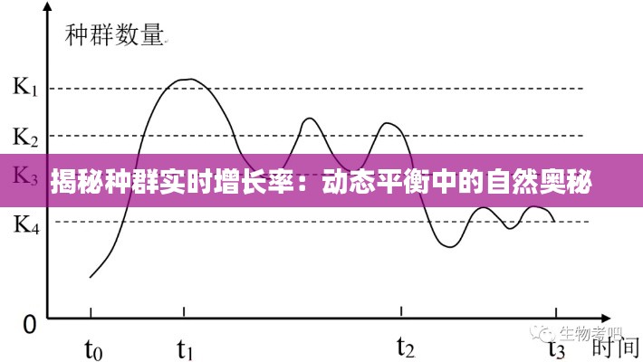 揭秘种群实时增长率：动态平衡中的自然奥秘