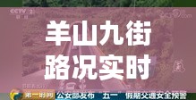 羊山九街路况实时查询电话：您的出行好帮手