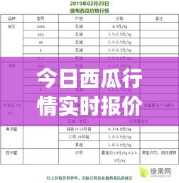 今日西瓜行情实时报价：市场动态与价格走势分析