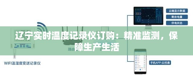 辽宁实时温度记录仪订购：精准监测，保障生产生活