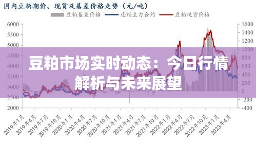 豆粕市场实时动态：今日行情解析与未来展望