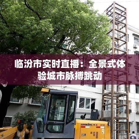 临汾市实时直播：全景式体验城市脉搏跳动