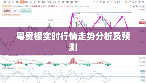 粤贵银实时行情走势分析及预测