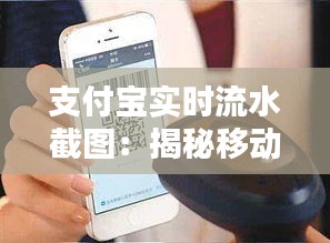 支付宝实时流水截图：揭秘移动支付背后的数据奥秘