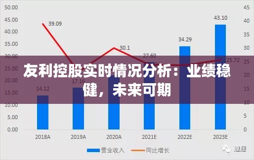 友利控股实时情况分析：业绩稳健，未来可期