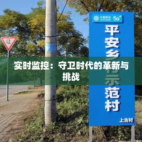 实时监控：守卫时代的革新与挑战