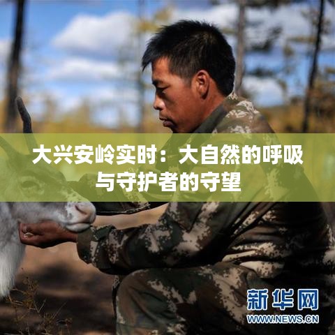 大兴安岭实时：大自然的呼吸与守护者的守望