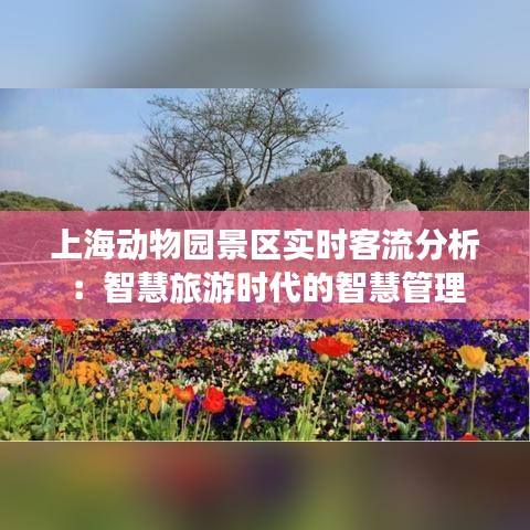 上海动物园景区实时客流分析：智慧旅游时代的智慧管理