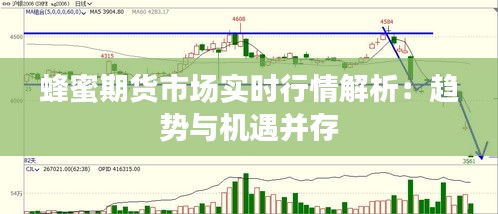 蜂蜜期货市场实时行情解析：趋势与机遇并存