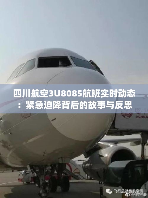 四川航空3U8085航班实时动态：紧急迫降背后的故事与反思