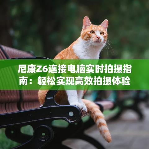 尼康Z6连接电脑实时拍摄指南：轻松实现高效拍摄体验