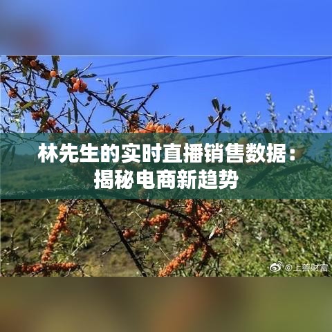 林先生的实时直播销售数据：揭秘电商新趋势