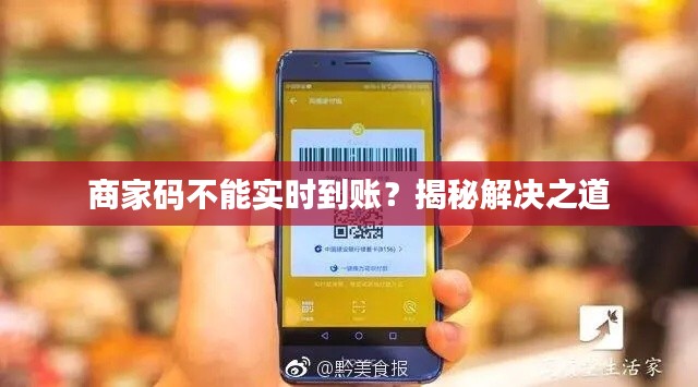 商家码不能实时到账？揭秘解决之道