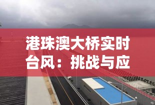 港珠澳大桥实时台风：挑战与应对