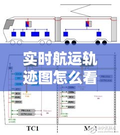 2024年12月28日 第24页