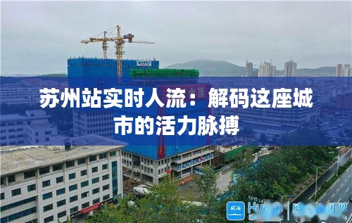 苏州站实时人流：解码这座城市的活力脉搏