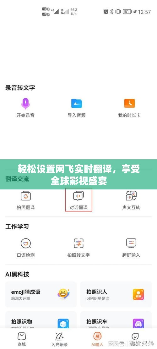 轻松设置网飞实时翻译，享受全球影视盛宴