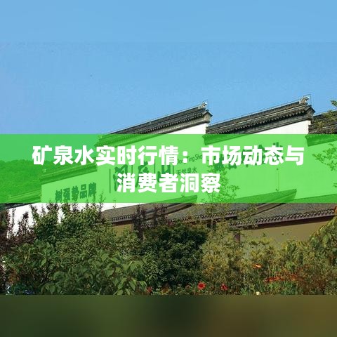 矿泉水实时行情：市场动态与消费者洞察