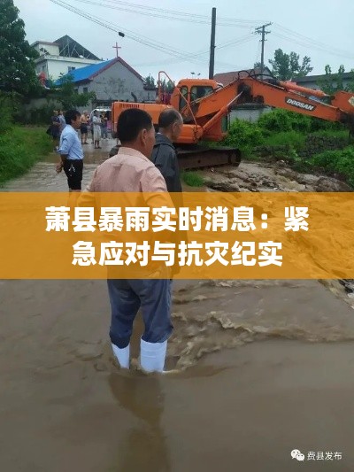 萧县暴雨实时消息：紧急应对与抗灾纪实