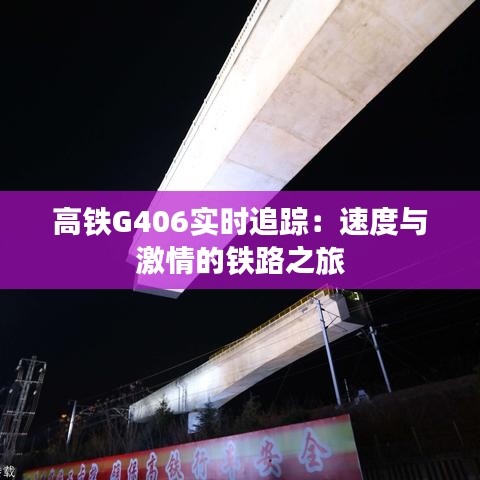 高铁G406实时追踪：速度与激情的铁路之旅