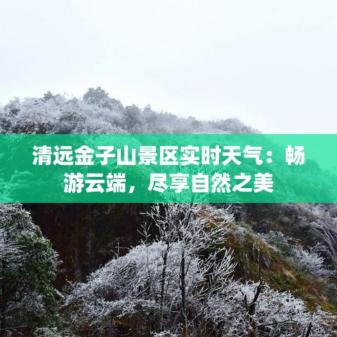 清远金子山景区实时天气：畅游云端，尽享自然之美