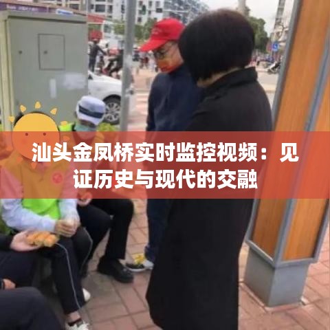 汕头金凤桥实时监控视频：见证历史与现代的交融