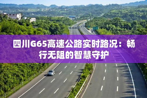 四川G65高速公路实时路况：畅行无阻的智慧守护