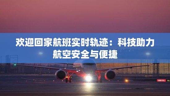 欢迎回家航班实时轨迹：科技助力航空安全与便捷