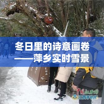 冬日里的诗意画卷——萍乡实时雪景高清大图赏