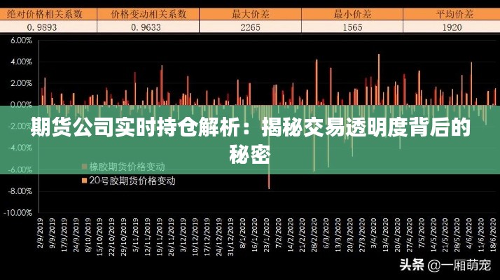 期货公司实时持仓解析：揭秘交易透明度背后的秘密