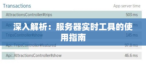 深入解析：服务器实时工具的使用指南
