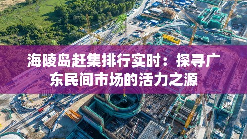 海陵岛赶集排行实时：探寻广东民间市场的活力之源