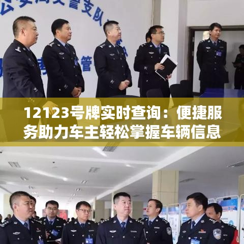 12123号牌实时查询：便捷服务助力车主轻松掌握车辆信息