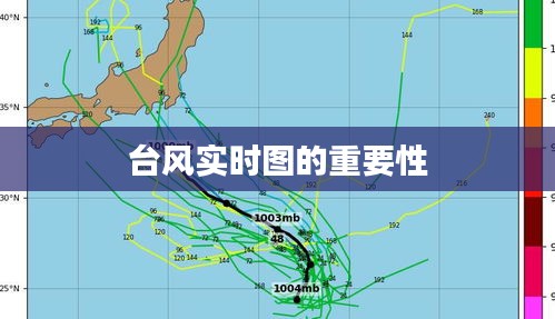 台风实时图的重要性