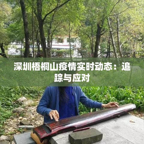 深圳梧桐山疫情实时动态：追踪与应对