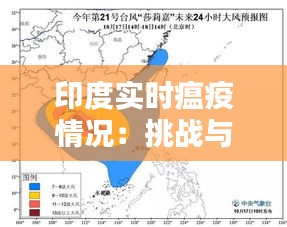 印度实时瘟疫情况：挑战与应对