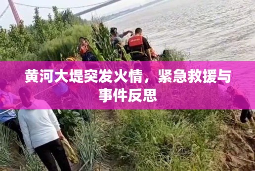 黄河大堤突发火情，紧急救援与事件反思